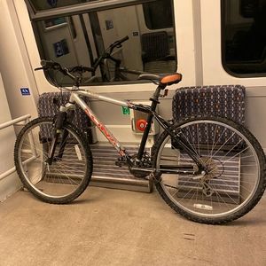 Meet your Posher, Bailey.